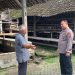 Sambangi Warga Peternak Ayam Petelur, Kapolres Blitar Sisipkan Pesan Kamtibmas*
