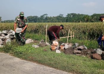 Selalu Hadir Di Tengah Tengah Masyarakat, Babinsa Koramil 0808/12 Wlingi Bantu Pembuatan Saluran Irigasi