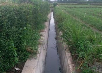 Benahi Kebocoran, Kementan Lakukan Rehabilitasi Jaringan Irigasi Tersier di Blitar