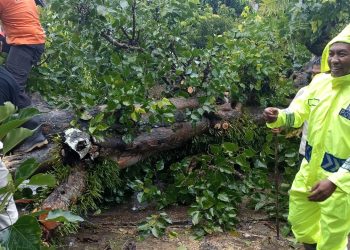 Kapolsek Ngawi Sigap dan Tanggap Bantu Warga Dampak Bencana