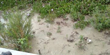 Masyarakat Desa plaosan merasa di rugikan terkait limbah (PDAM)perusahaan air minum babat.