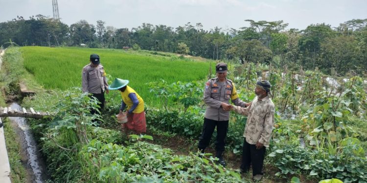 Pak Bhabin Ngawi Sapa Petani di Sawah