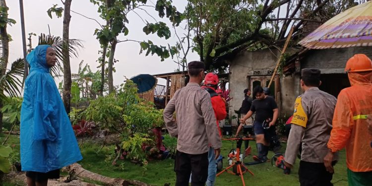 Sigap, Polisi Ngawi Bantu Evakuasi Pohon Tumbang di Kedunggalar