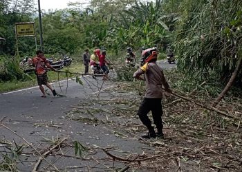 *Kabid Humas Polda Jabar : Agar Pengendara Aman Dan Lancar, Polisi Potong Pohon Bambu Yang Menjulur Ke Jalan*