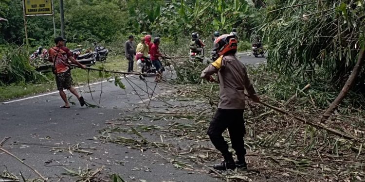*Kabid Humas Polda Jabar : Agar Pengendara Aman Dan Lancar, Polisi Potong Pohon Bambu Yang Menjulur Ke Jalan*