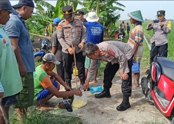 Gropyok Tikus Meningkatkan Keamanan dan Ketahanan Pangan di Ngawi