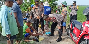 Gropyok Tikus Meningkatkan Keamanan dan Ketahanan Pangan di Ngawi