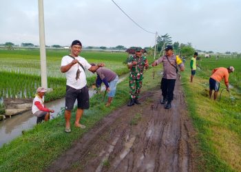 Sinegritas TNI – POLRI Bersama Petani Di Ngawi Tingkatkan Ketahanan Pangan.