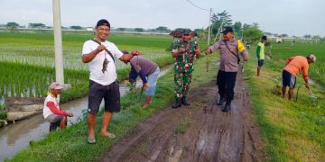 Sinegritas TNI – POLRI Bersama Petani Di Ngawi Tingkatkan Ketahanan Pangan.