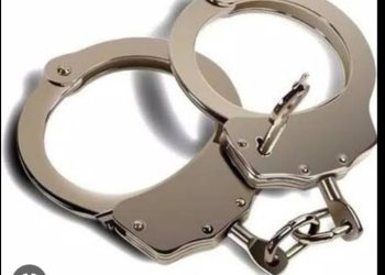 Ulah Oknum Kades Tombolo Di Sorot Terkait Dugaan Penggelapan Dana BLT Dan Penggajian  Aparat Desa. Ketua LPPA – Ri DPD Jeneponto,Besok Menghadap Ke – Kejati.