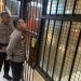 Pastikan Aman, Kapolres Kediri Kota Cek Keadaan Tahanan Di Rutan Mapolres