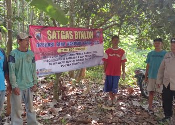 Polsek Gringsing Beri Pemahaman kepada Masyarakat tentang Ancaman Radikalisme Polsek Gringsing Ajak Warga Desa Ketanggan Cegah Radikalisme