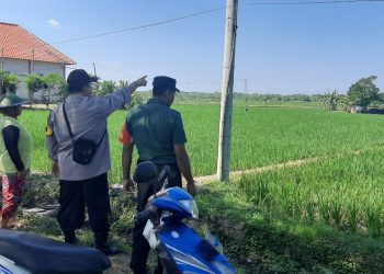 Jaga Ketahanan Pangan di Ngawi, Polsubsektor Gerih adakan Patroli Area Persawahan