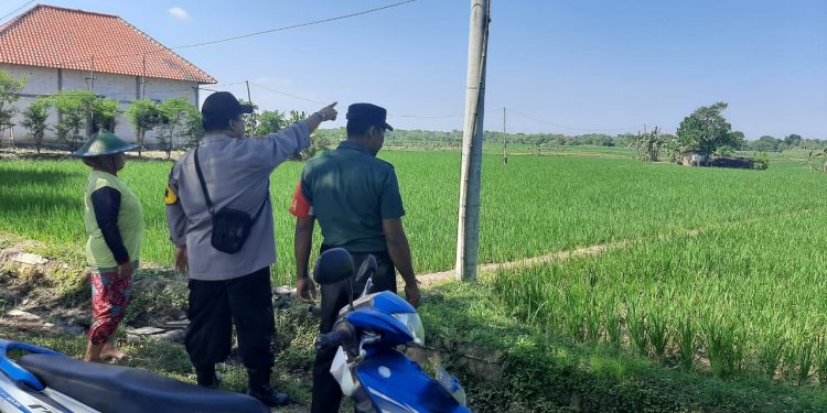 Jaga Ketahanan Pangan di Ngawi, Polsubsektor Gerih adakan Patroli Area Persawahan