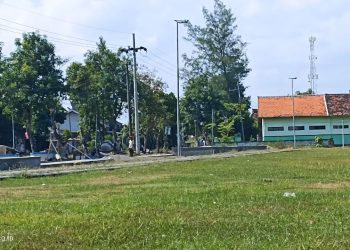 Percantik Desa, Pemdes Dimong Madiun Bikin Taman di Lapangan