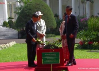 Ditanam Presiden Jokowi dan Kaisar Naruhito, Dewi Fortuna Sudah Buktikan Keberhasilan Budi Daya Gaharu