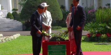 Ditanam Presiden Jokowi dan Kaisar Naruhito, Dewi Fortuna Sudah Buktikan Keberhasilan Budi Daya Gaharu