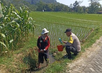 Jalin Hubungan Baik dengan Petani Ngrambe, Polres Ngawi Giatkan Bhatarling