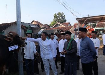 Polres Batang Serahkan 5 Ekor Sapi dan 2 Kambing Kurban