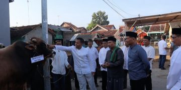 Polres Batang Serahkan 5 Ekor Sapi dan 2 Kambing Kurban