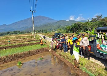Tingkatkan Kamtibmas di Ngawi, Polsek Jogorogo Dengarkan Keluhan dan Berbagi Berkah di Sawah
