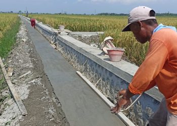Proyek P3TGAI Desa Kenongorejo Pilangkenceng Hampir Tuntas