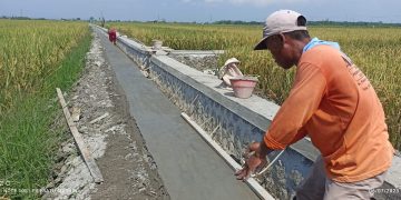 Proyek P3TGAI Desa Kenongorejo Pilangkenceng Hampir Tuntas