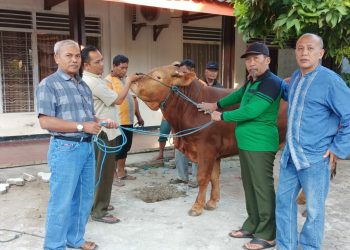 Perhutani Bagikan Daging Qurban Kepada Masyarakat Sekitar Hutan