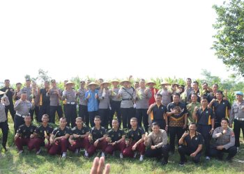 Manfaatkan Lahan Tidur, Polres Blitar Panen Jagung