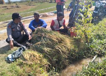 Jaga Ketahanan Pangan di Ngawi, Polsek Jogorogo Patroli Dialogis dengan Petani
