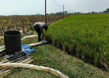 Polres Ngawi Kedepankan Bhatarling, Cek Area Persawahan Mengenai Kekeringan di Paron