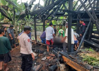 Nyalakan Api Untuk Usir Nyamuk, Kandang Sapi Hangus Terbakar