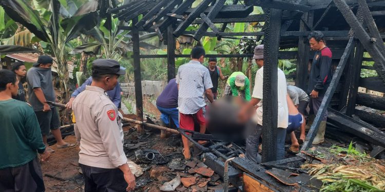 Nyalakan Api Untuk Usir Nyamuk, Kandang Sapi Hangus Terbakar