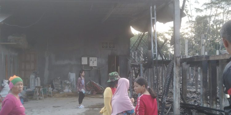 Kandang Pembesaran Ayam Broiler di Cangkring Habis Dilalap Si Jago Merah