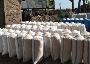 Harga Garam Turun Darastis, Petani Tambak Garam Menjerit Di Jeneponto