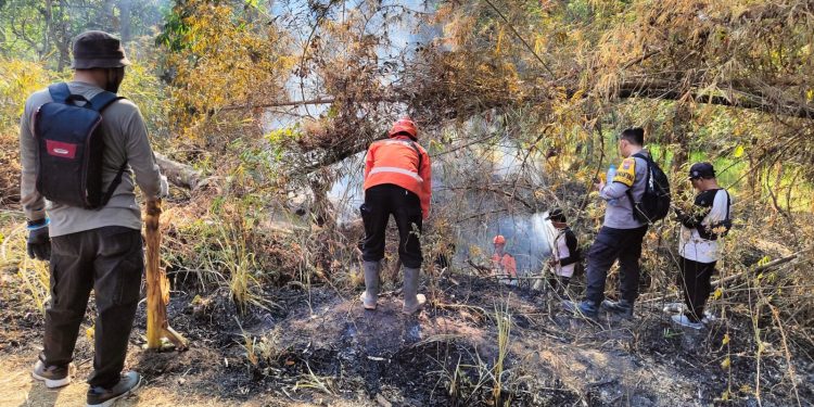 Mendaki Tebing Curam, Petugas Gabungan Polres Kediri Kota Berhasil Padamkan Karhutla di Lereng Gunung Klotok