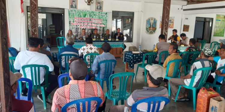 Perhutani Bersama Forkopimcam Pilangkenceng Lakukan Sosialisasi Tanaman ATM Di Saradan