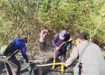Upaya Polsek Jogorogo Padamkan Api di Lereng Gunung Lawu Ngawi