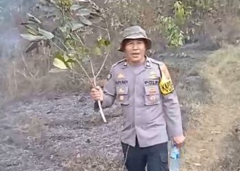 Gercep, Polisi Bersama TNI dan Relawan Padamkan Kebakaran Lahan di Karangsuko Trenggalek
