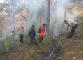 Gerak Cepat Polisi Bersama Perhutani dan Warga Padamkan Kebakaran Lahan di Trenggalek