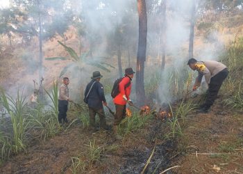 Gerak Cepat Polisi Bersama Perhutani dan Warga Padamkan Kebakaran Lahan di Trenggalek