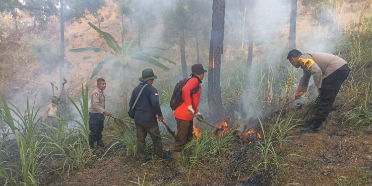 Gerak Cepat Polisi Bersama Perhutani dan Warga Padamkan Kebakaran Lahan di Trenggalek