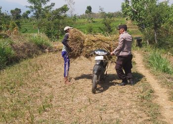 *Polisi Blusukan ke Sawah untuk Patroli Dialogis*