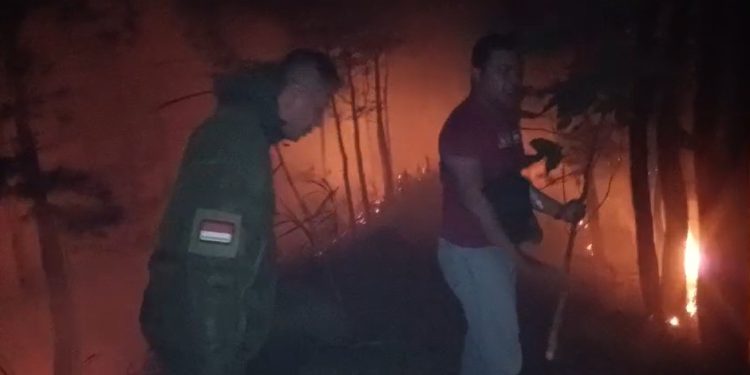 Polres Situbondo Kembali Berhasil Amankan Tersangka Pengedar Sabu