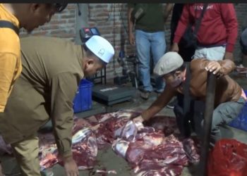 *Satreskrim Polres Magetan Ungkap Kejahatan Daging Sapi Glonggongan*
