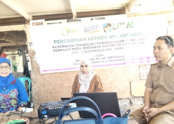 Pengendalian Hama Pada Tanaman Jagung