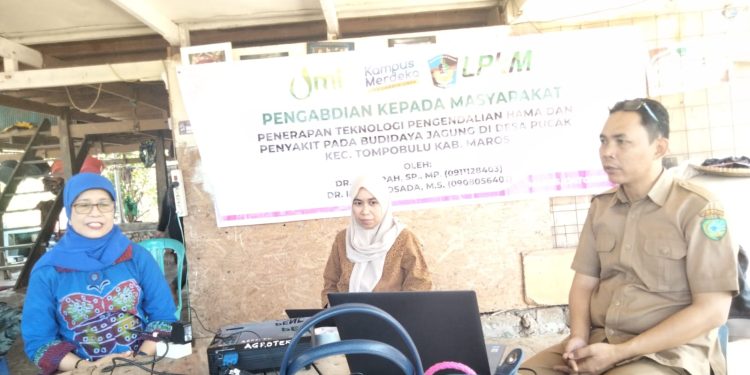 Pengendalian Hama Pada Tanaman Jagung