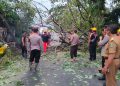 Respon Cepat Polri Evakuasi Pohon Tumbang di Jalan Raya Karangrejo-Barat