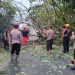 Respon Cepat Polri Evakuasi Pohon Tumbang di Jalan Raya Karangrejo-Barat