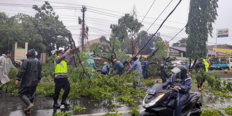 Polsek Batang Kota Tanggap Cepat: Bersama BPBD Bersihkan Pohon Tumbang di Jalan Raya